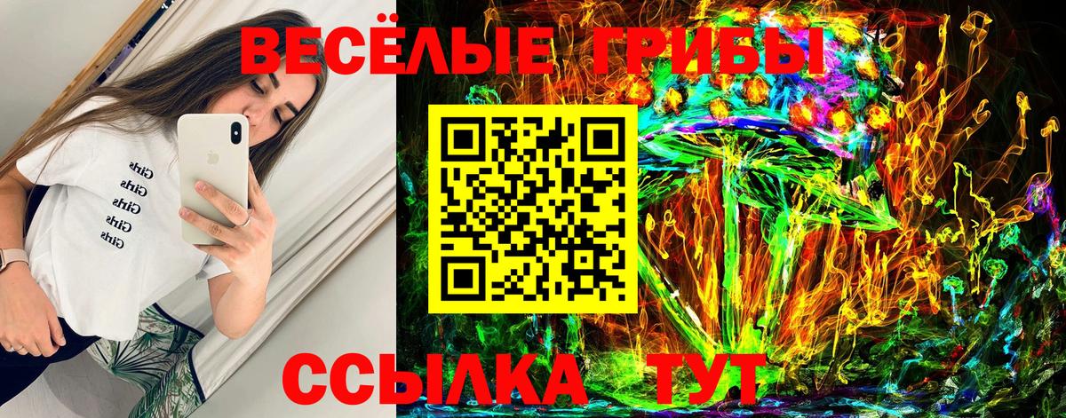 Йошкар-Ола  Псилоцибиновые грибы мицелий  Вход с VPN  Галлюциногенные грибы Psilocybine cubensis 